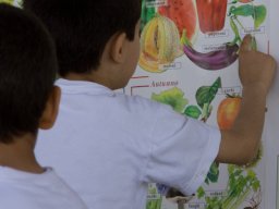 2008-04-24 - Fattoria didattica